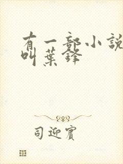 有一部小说主角叫叶锋