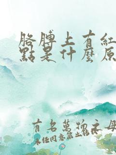 胳膊上有红色点点是什么原因