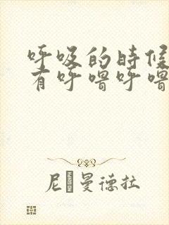 呼吸的时候肺部有呼噜呼噜的声音