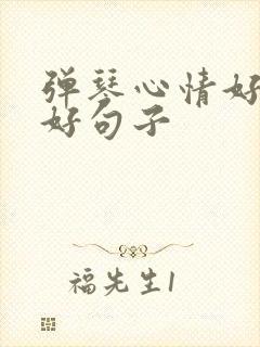 弹琴心情好和不好句子