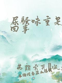 尿骚味重是怎么回事