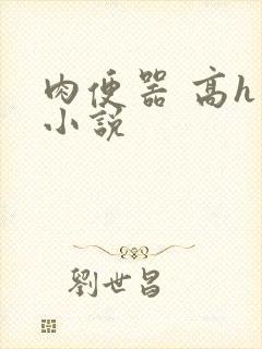 肉便器 高h 小说