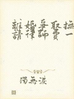 离婚争取抚养权请律师费一般是多少钱