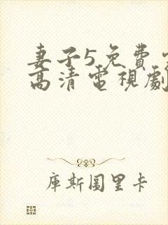 妻子5免费完整高清电视剧