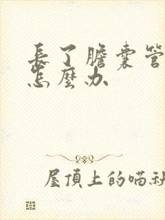 长了胆囊管结石怎么办