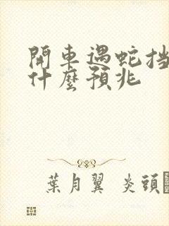 开车遇蛇挡路有什么预兆