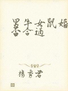 男牛女鼠婚配是否合适