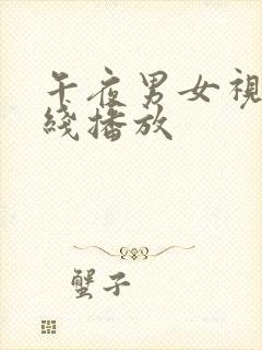 午夜男女视频在线播放