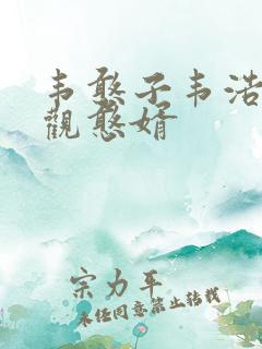 韦憨子韦浩 贞观憨婿