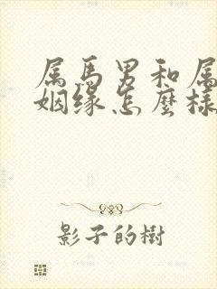 属马男和属虎女姻缘怎么样