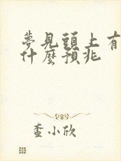 梦见头上有鸟屎什么预兆