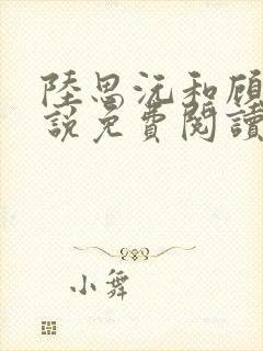 陆思沅和顾麟小说免费阅读