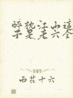 醉枕江山这个皇子是老六全集免费