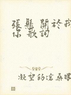 张悬 关于我爱你 歌词