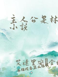 主人公是林凡的小说