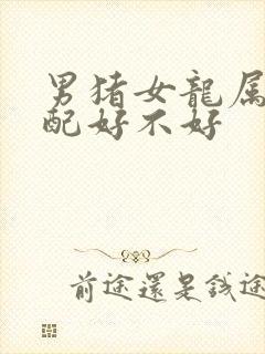 男猪女龙属相婚配好不好