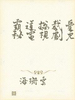 霸道总裁爱上女秘电视剧免费