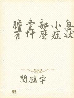 胆囊部小息肉是有什么症状