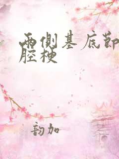 两侧基底节少许腔梗