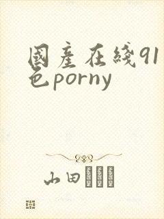 国产在线91九色porny