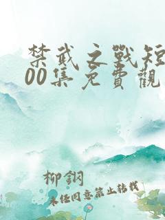 禁武之战短剧100集免费观看