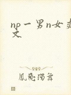 np一男n女爽文