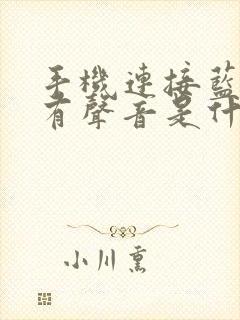 手机连接蓝牙没有声音是什么原因