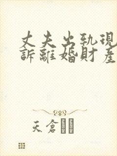 丈夫出轨现在起诉离婚财产分割