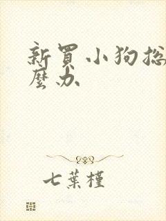 新买小狗总叫怎么办