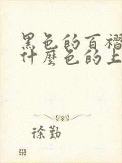 黑色的百褶裙配什么色的上衣好看