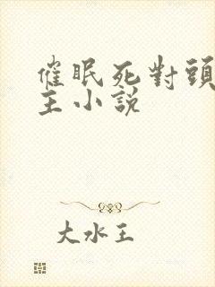 催眠死对头双男主小说