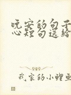 晚安的句子最暖心短句送给朋友