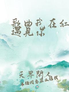 歌曲我在红尘中遇见你
