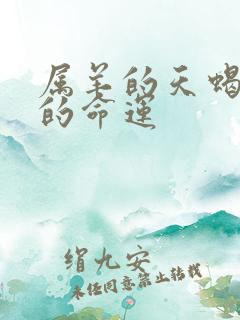 属羊的天蝎座男的命运