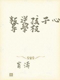 叛逆孩子心理辅导学校