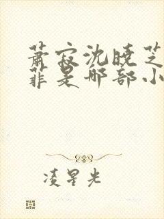 萧寂沈晓芝林菲菲是哪部小说