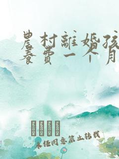 农村离婚孩子抚养费一个月多少钱