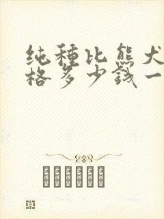 纯种比熊犬的价格多少钱一只