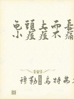 龟头上面长红色小痘痘不痛不痒