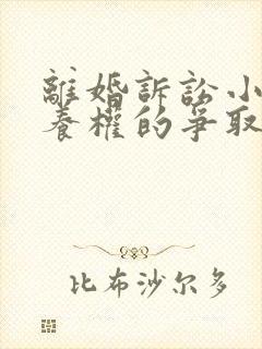 离婚诉讼小孩抚养权的争取