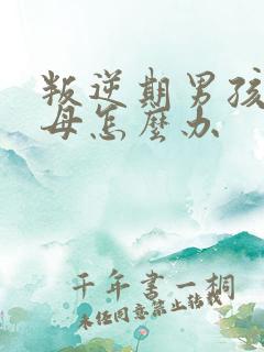 叛逆期男孩骂父母怎么办