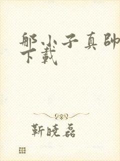 那小子真帅小说下载