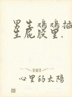 男生鸡鸡插入女生屁股里.