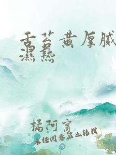 舌苔黄厚腻脾胃湿热