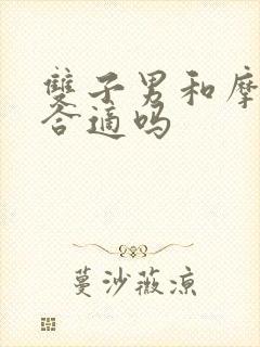 双子男和摩羯女合适吗