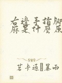 右边手指脚趾发麻是什么原因