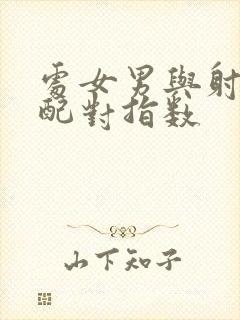 处女男与射手女配对指数