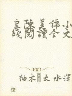 良陈美锦小说在线阅读全文