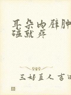 耳朵内壁肿了一碰就疼