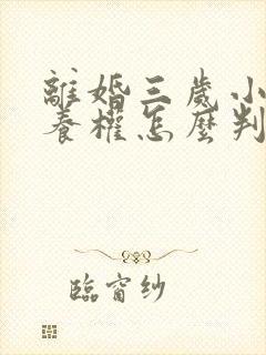 离婚三岁小孩抚养权怎么判定